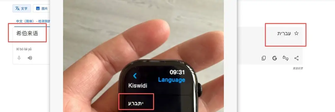 5632-63$-Apple Watch gallery