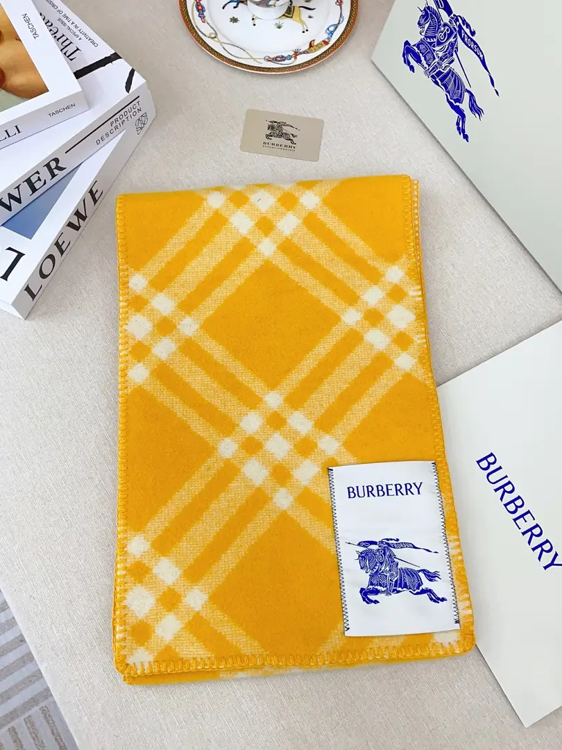 5863-28.8$-Burberry gallery