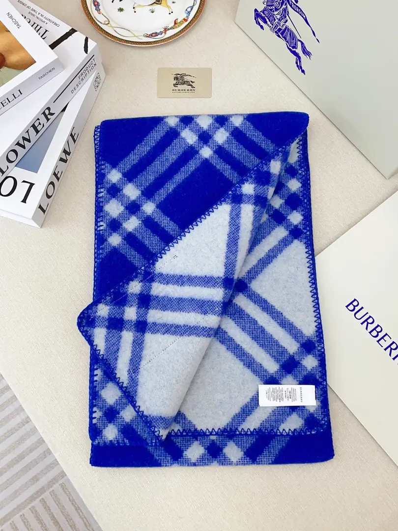 5863-28.8$-Burberry gallery