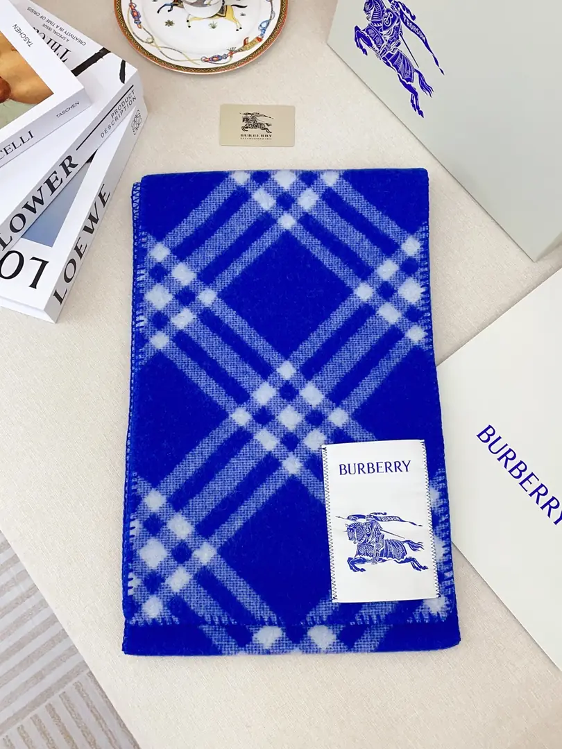 5863-28.8$-Burberry gallery