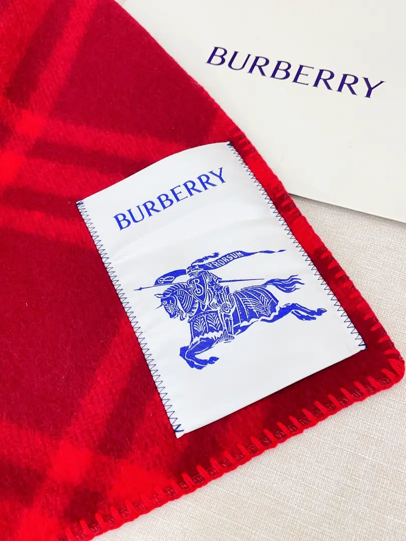 5863-28.8$-Burberry gallery