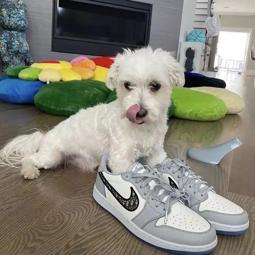 Kng512   AJ  5A+   35$  260 gallery