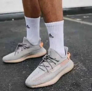 Kng579 ADIDAS 44.99$  340 gallery