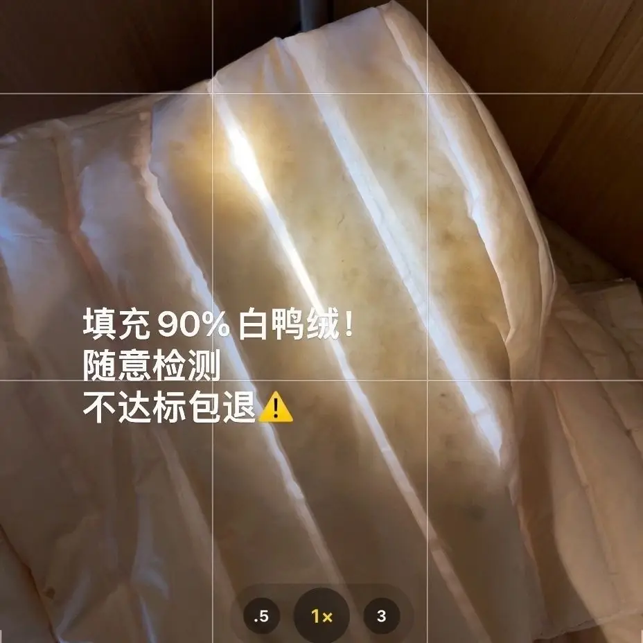 Kng882  THE  335 45$ gallery