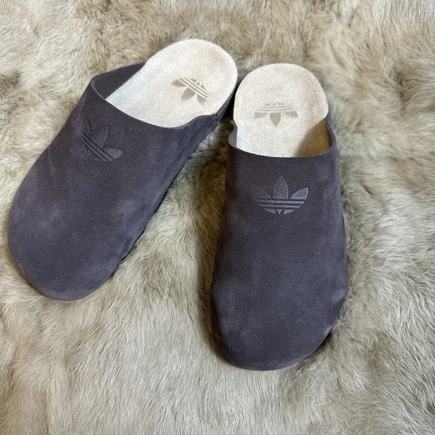 Jam7229   adidas add box  59.99$ gallery