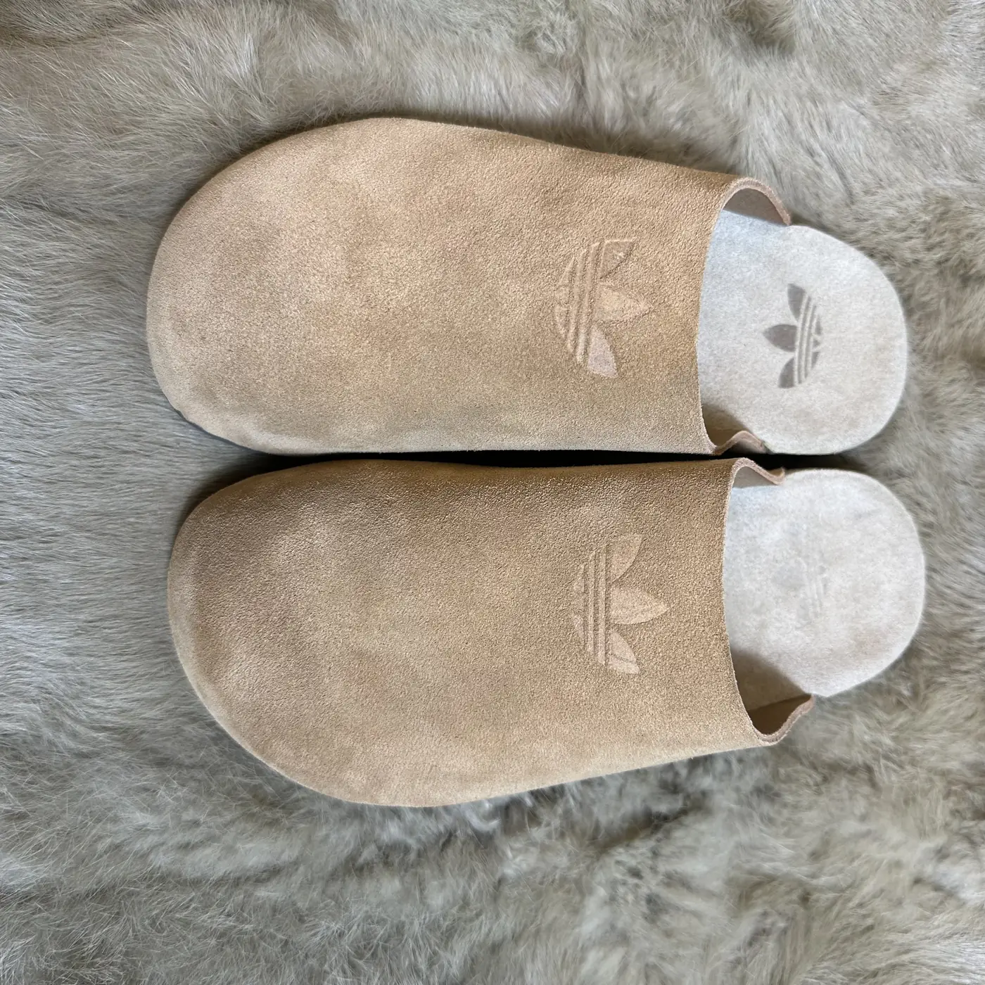 Jam7229   adidas add box  59.99$ gallery