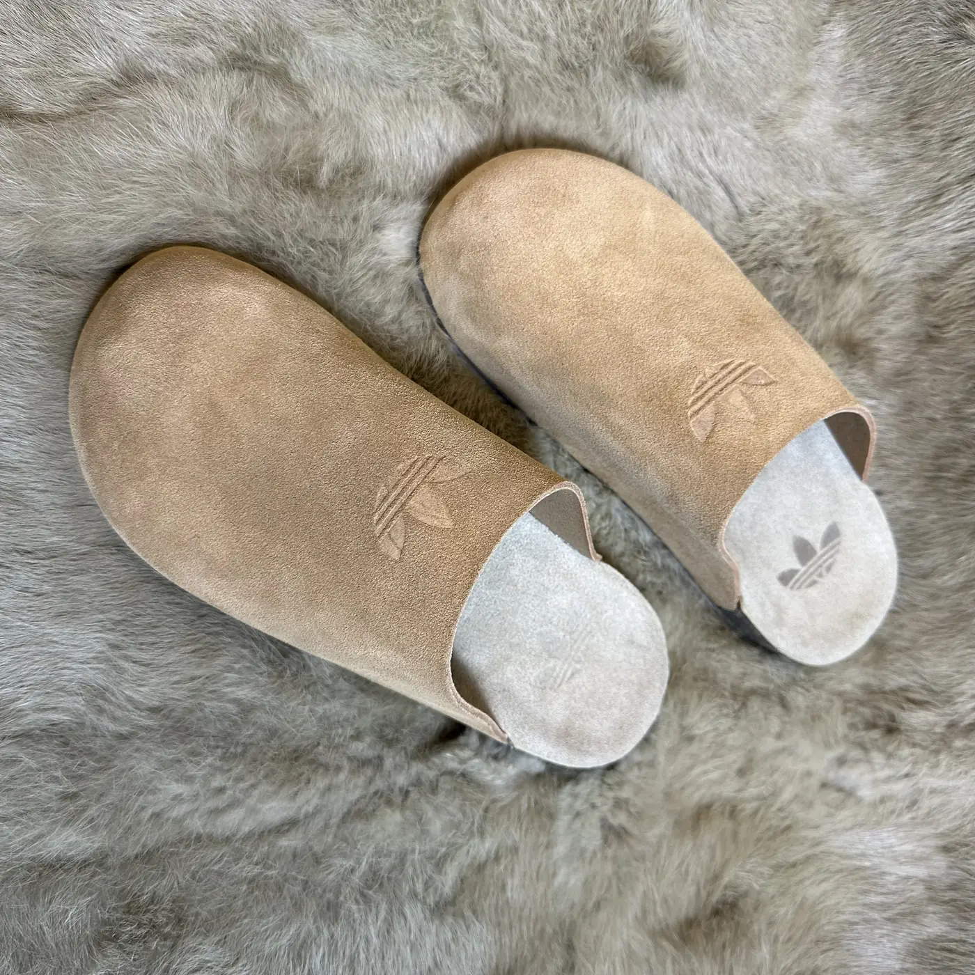 Jam7229   adidas add box  59.99$ gallery