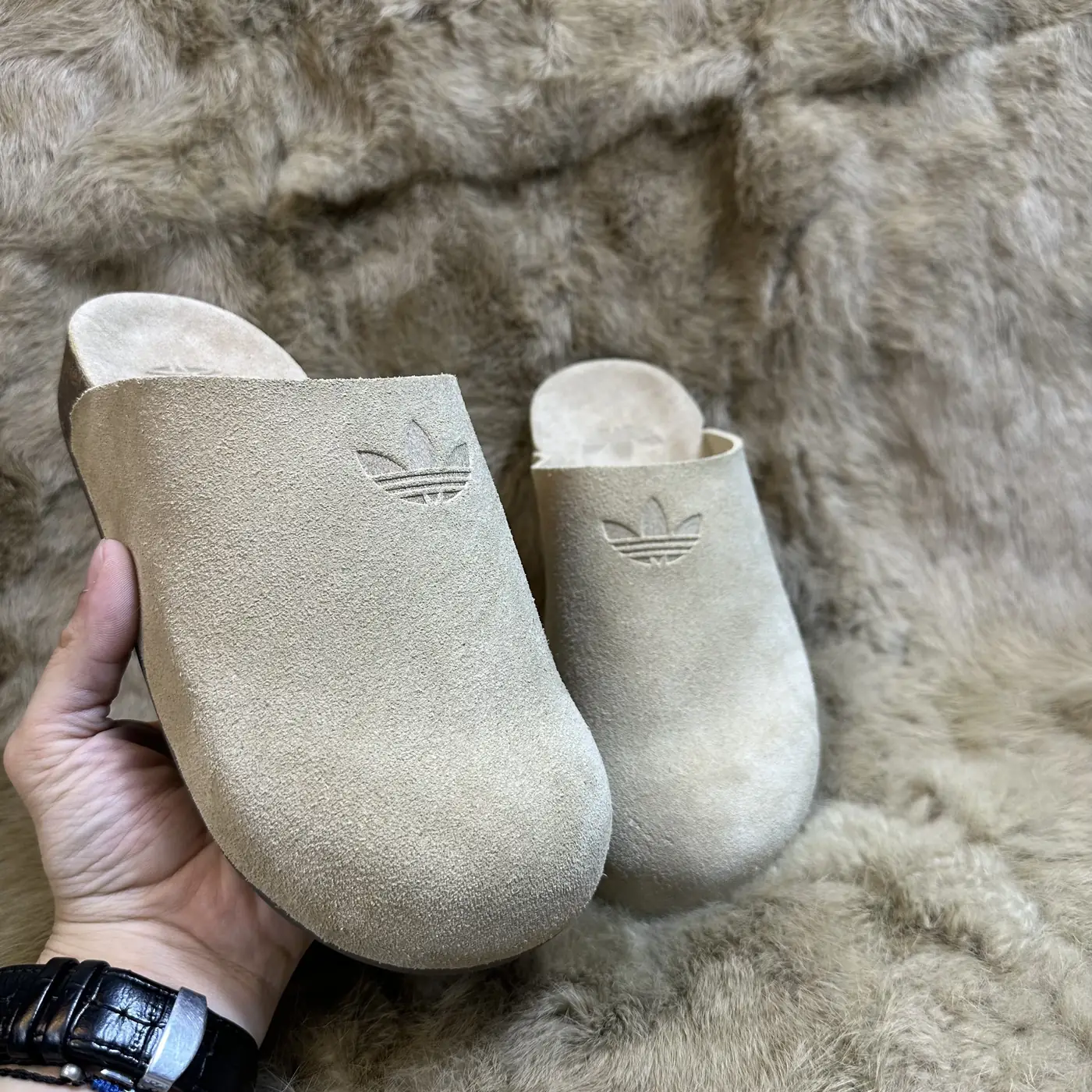 Jam7229   adidas add box  59.99$ gallery