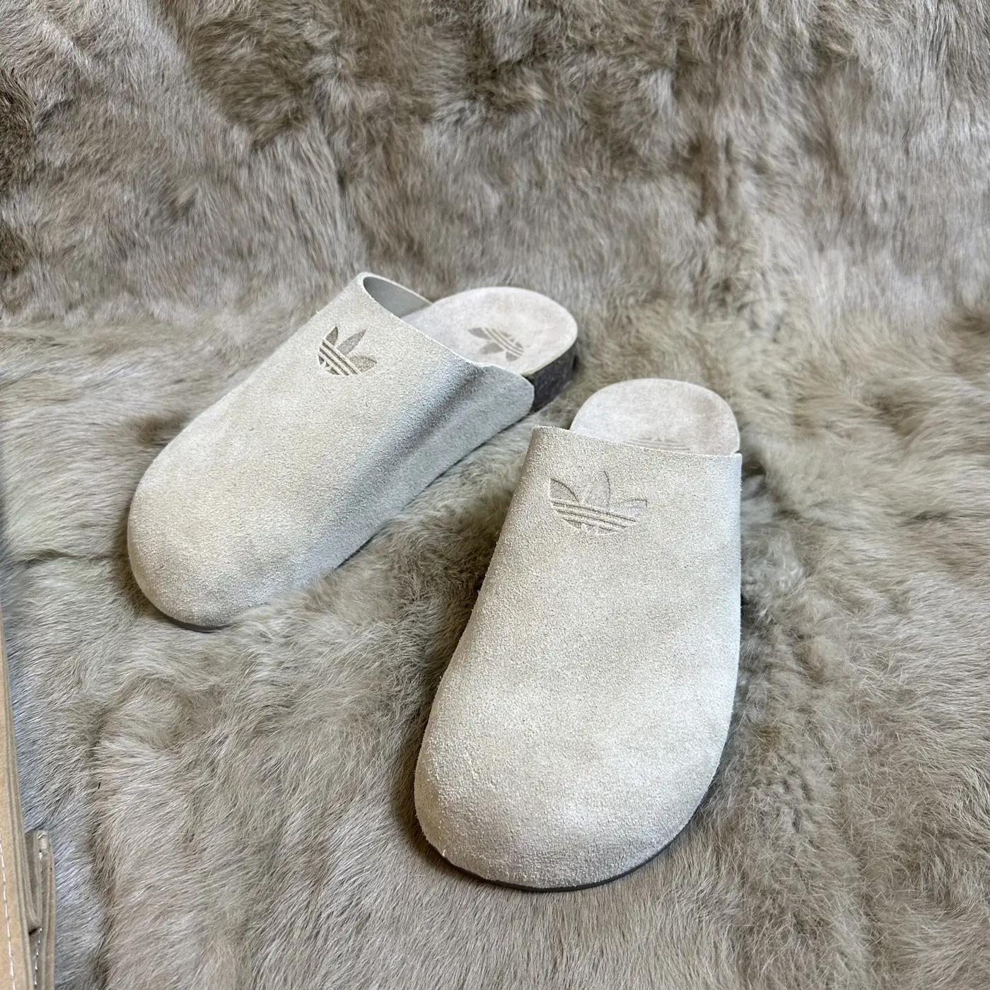 Jam7229   adidas add box  59.99$ gallery