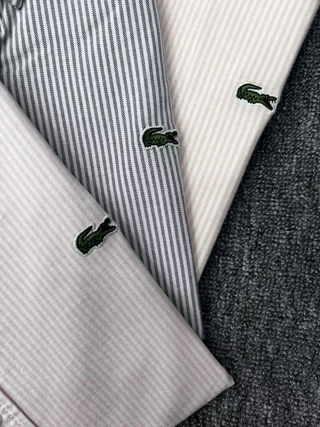 Jam8148 LACOSTE  47.9$ gallery