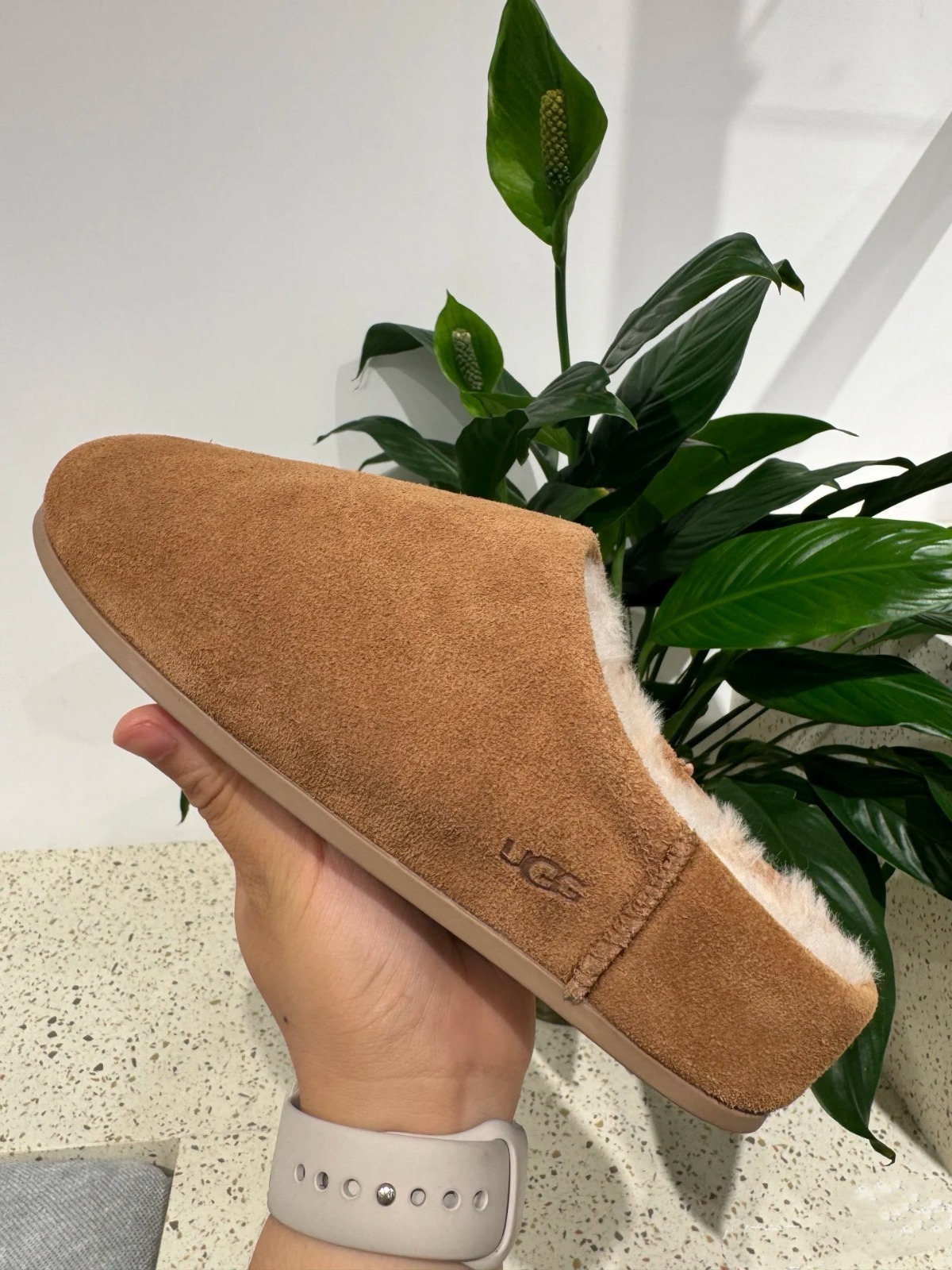 Jul6240  UGG  60$ gallery