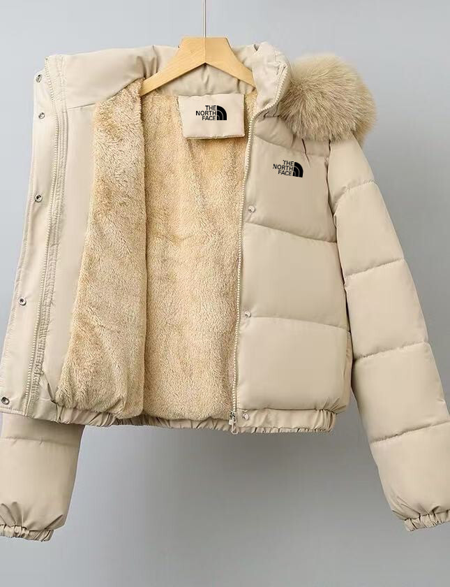 Jul6337   TNF 49.99$ gallery