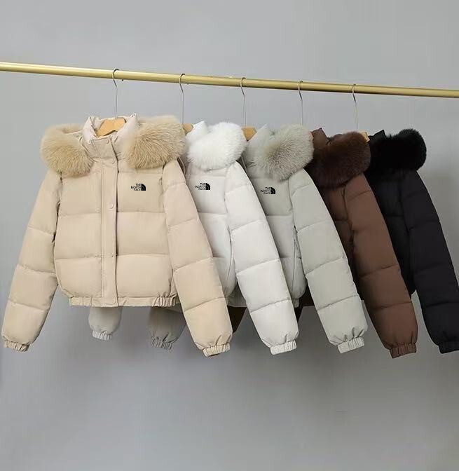 Jul6337   TNF 49.99$ gallery