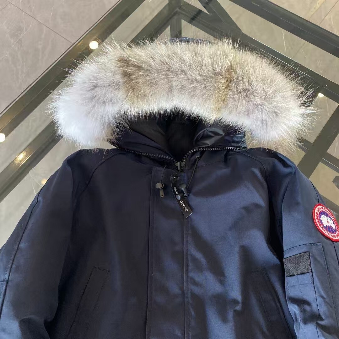 TL3054  canada goose  118$ gallery