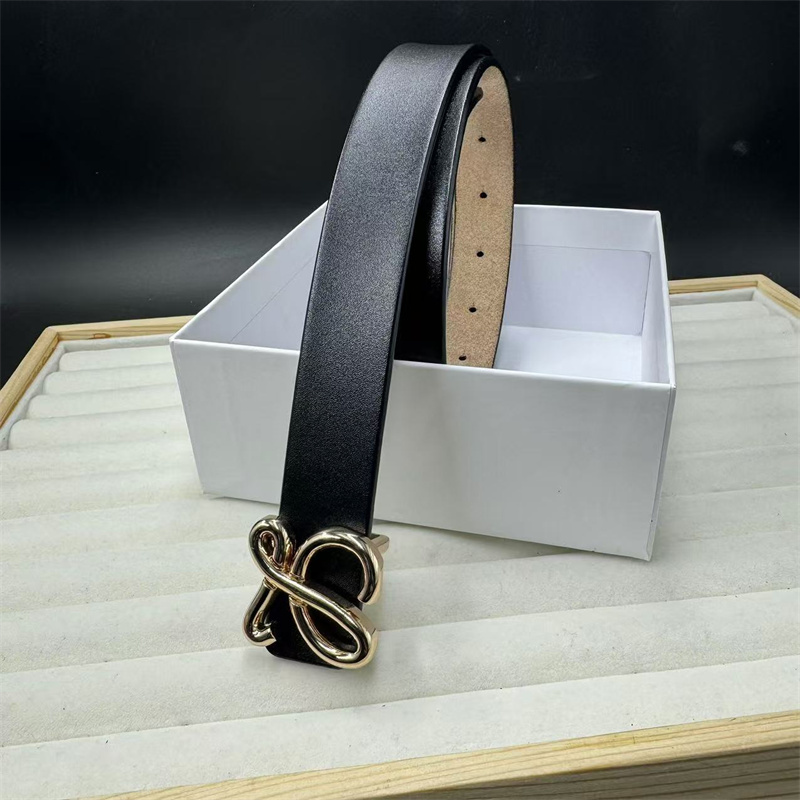 CE1522-CE1525 Loewe belt gallery