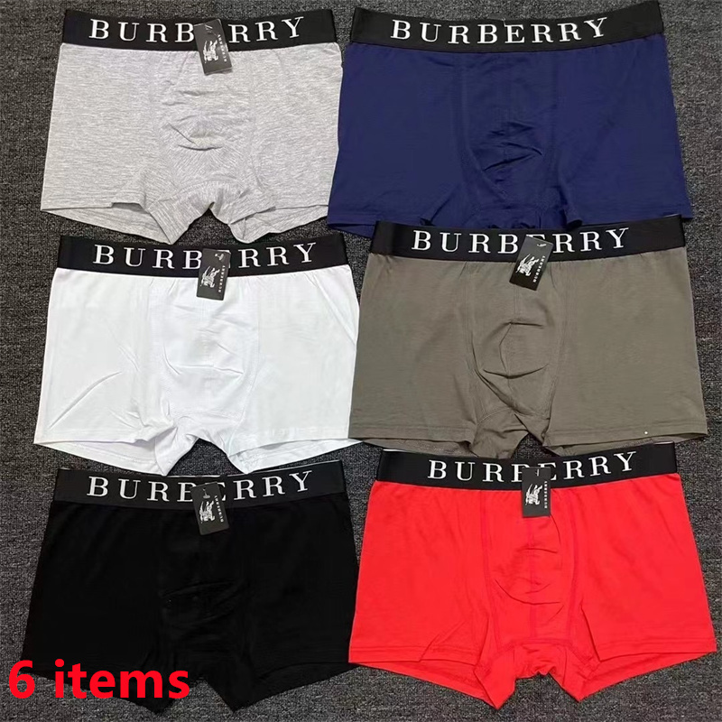 ER575-ER581  BURBERRY  underpants gallery