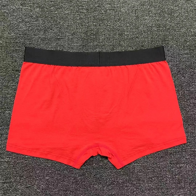 ER575-ER581  BURBERRY  underpants gallery