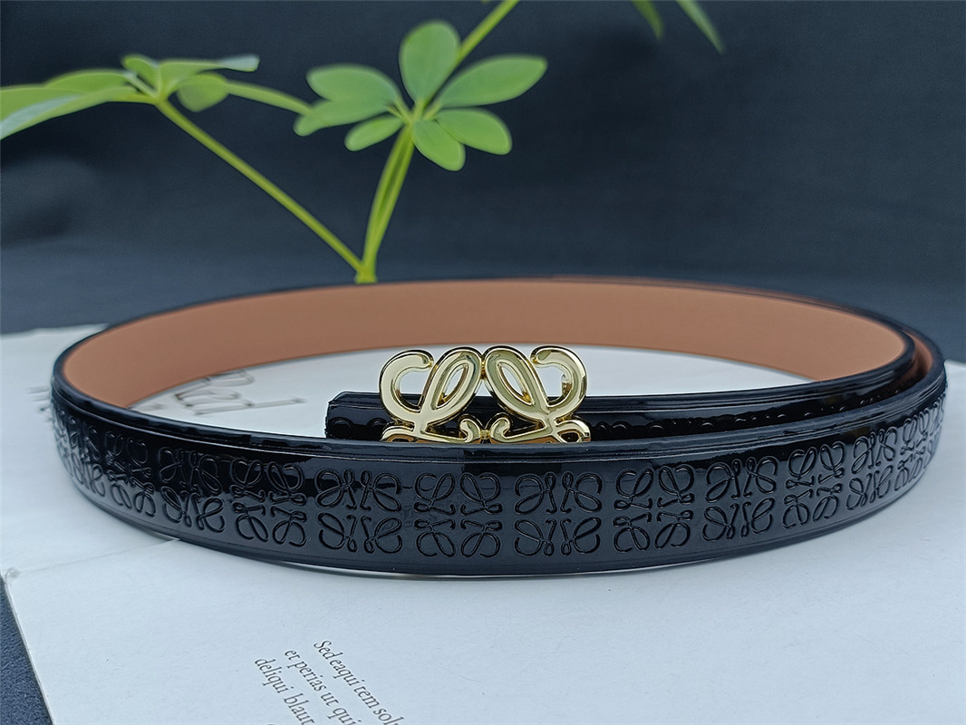 LOEWE Belt CG1693-CG1696  Width: 2.5cm No box gallery