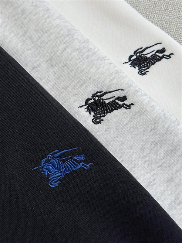 SA291-1-SA291-3  BURBERRY  hoodie gallery