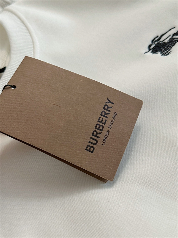 SA291-1-SA291-3  BURBERRY  hoodie gallery