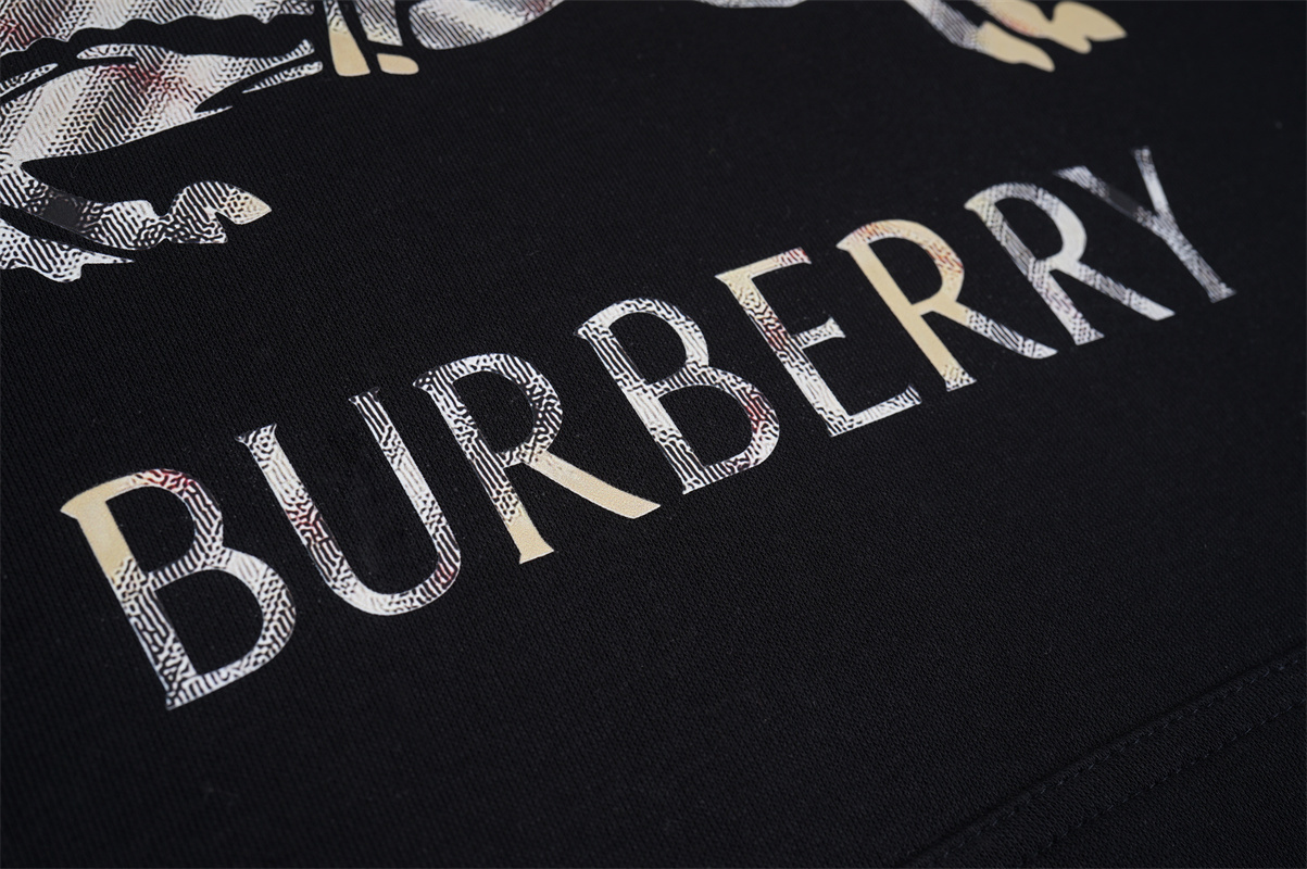 TAT45-1-TAT45-2 BURBERRY  hoodie gallery