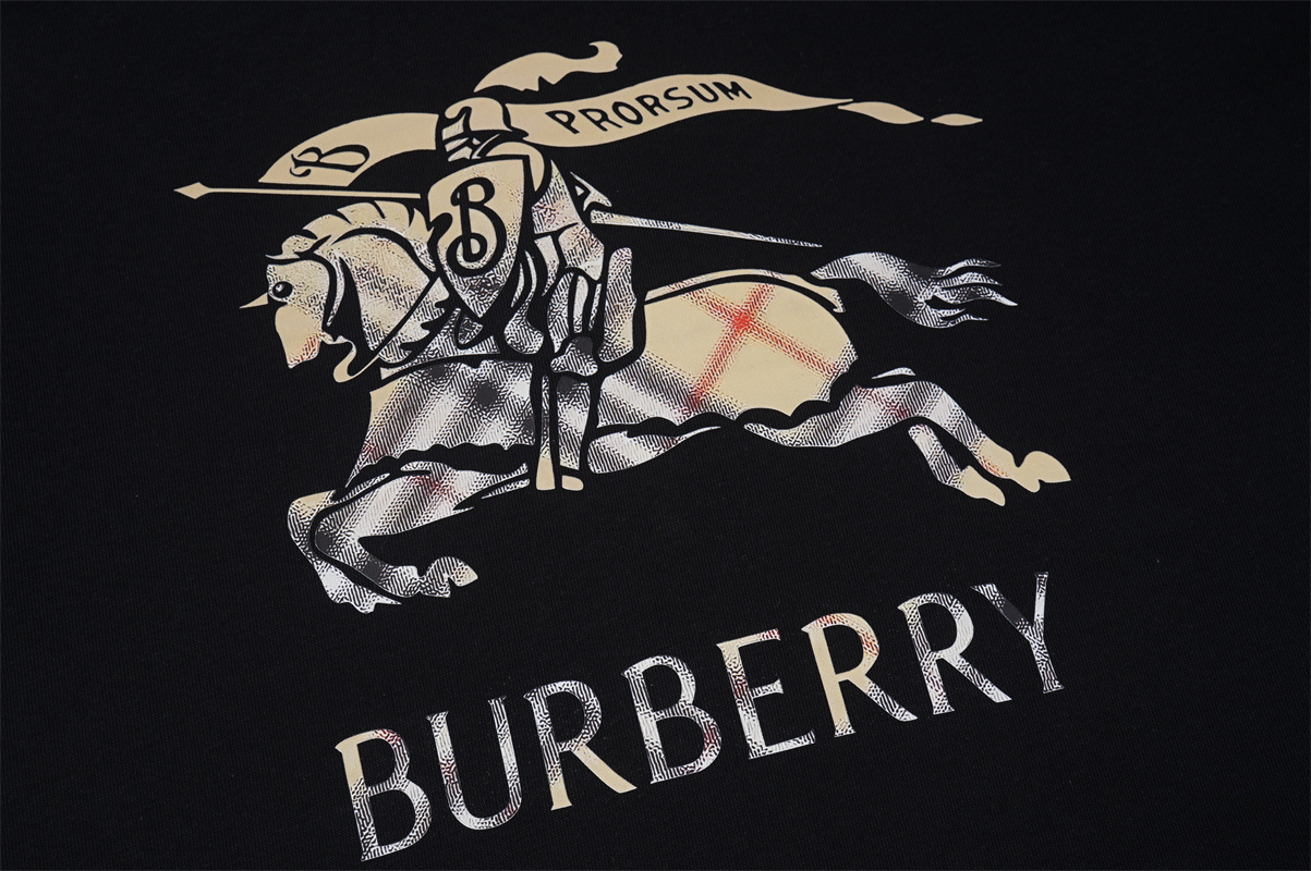 TAT45-1-TAT45-2 BURBERRY  hoodie gallery