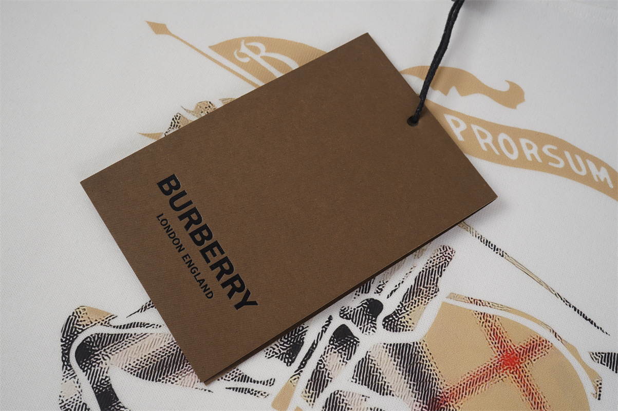 TAT45-1-TAT45-2 BURBERRY  hoodie gallery