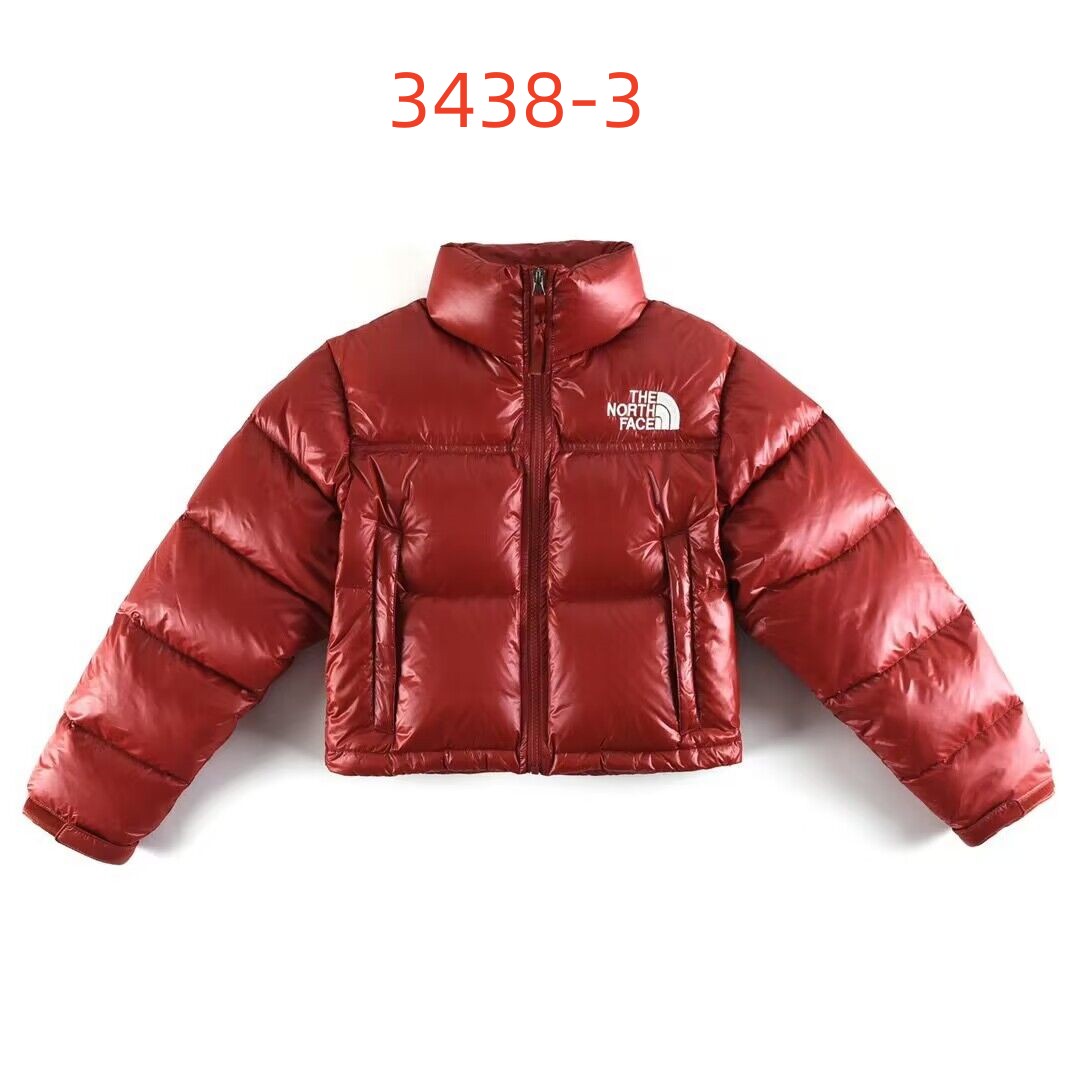95 north face down jacket S-XXL gallery