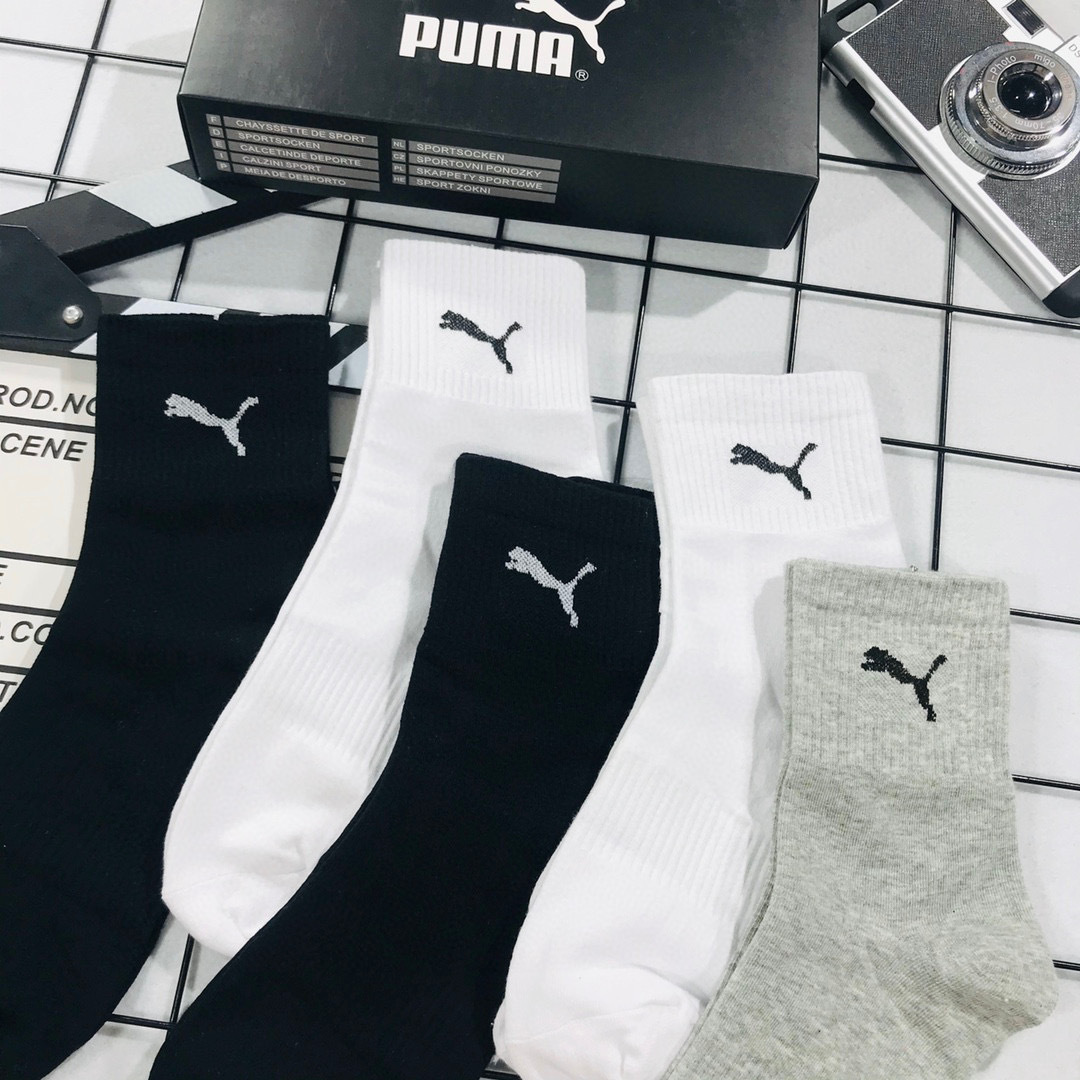 WP54632 5PCS/LOT gallery