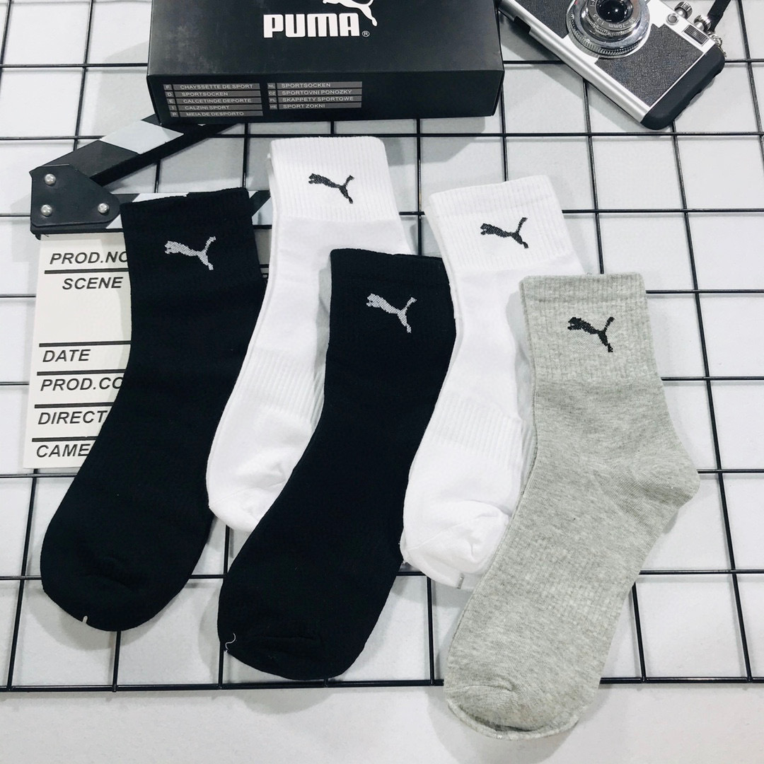 WP54632 5PCS/LOT gallery