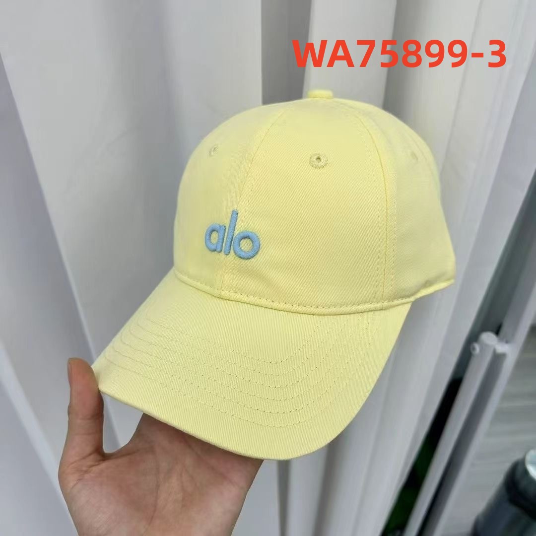 WA75899 gallery