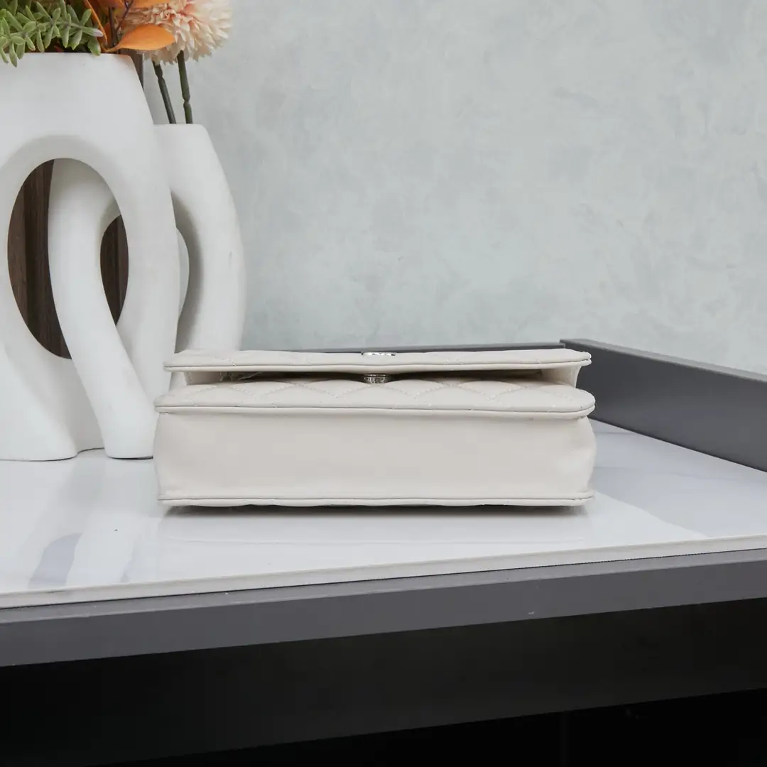 0250/091/19.5X13X4CM gallery