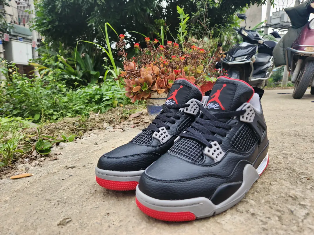 AJ4-31 gallery
