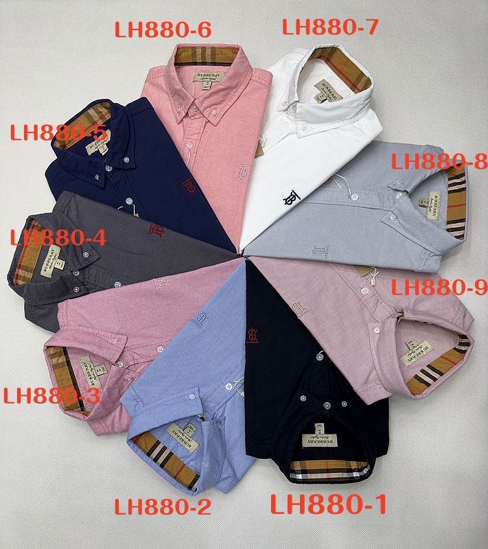 LH880-1 gallery
