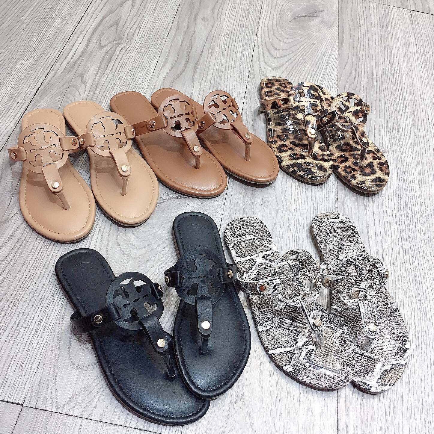 V2201-182💴26.99$TB gallery