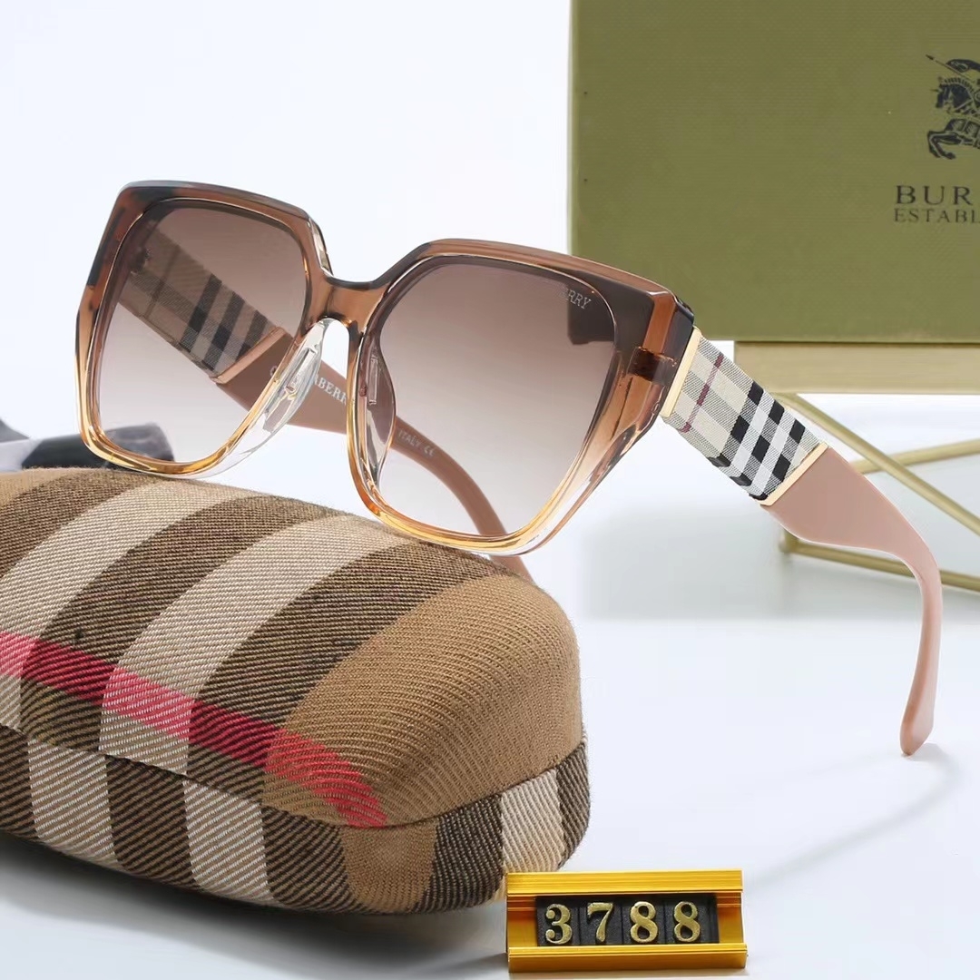 V2217-152💴23$burberry gallery