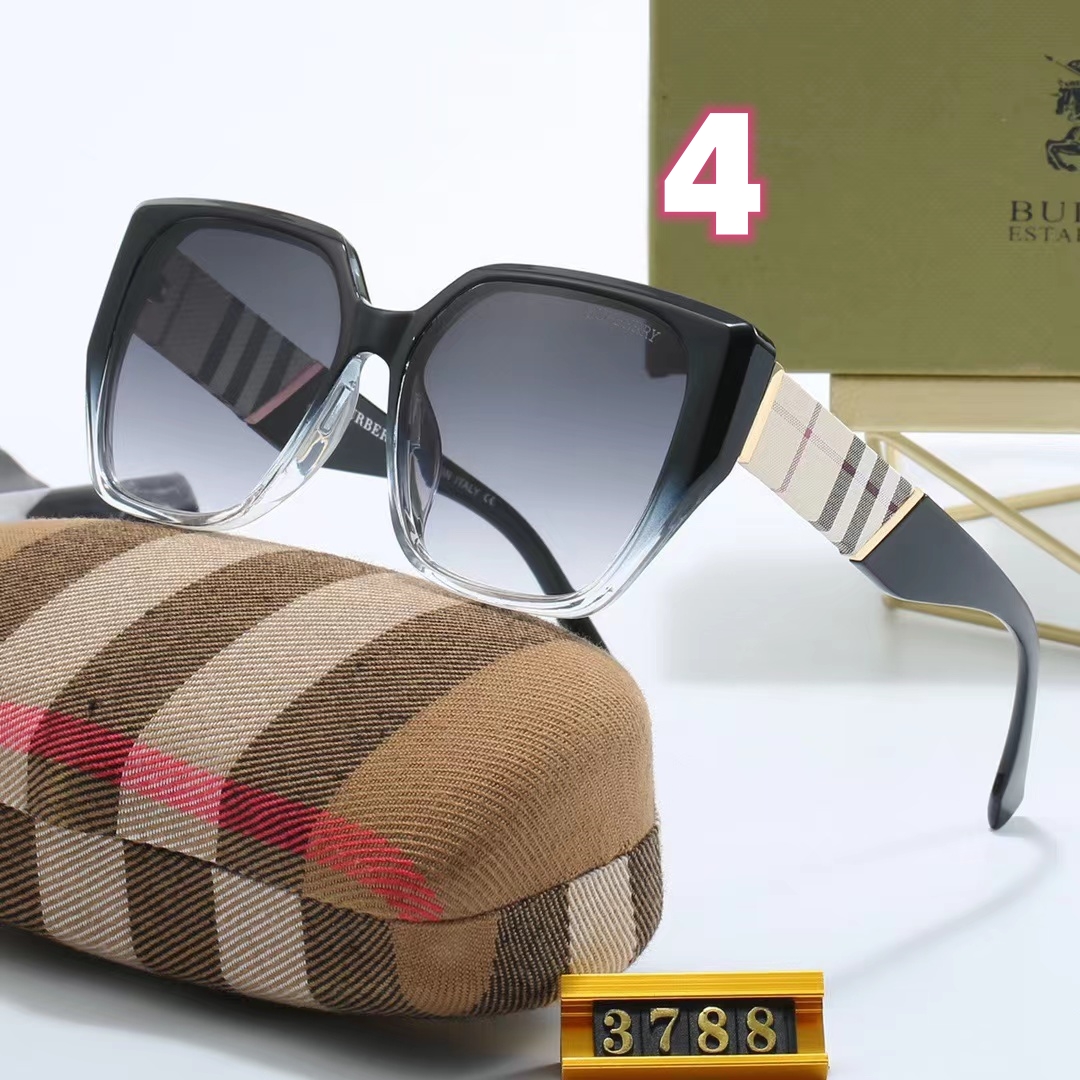 V2217-152💴23$burberry gallery