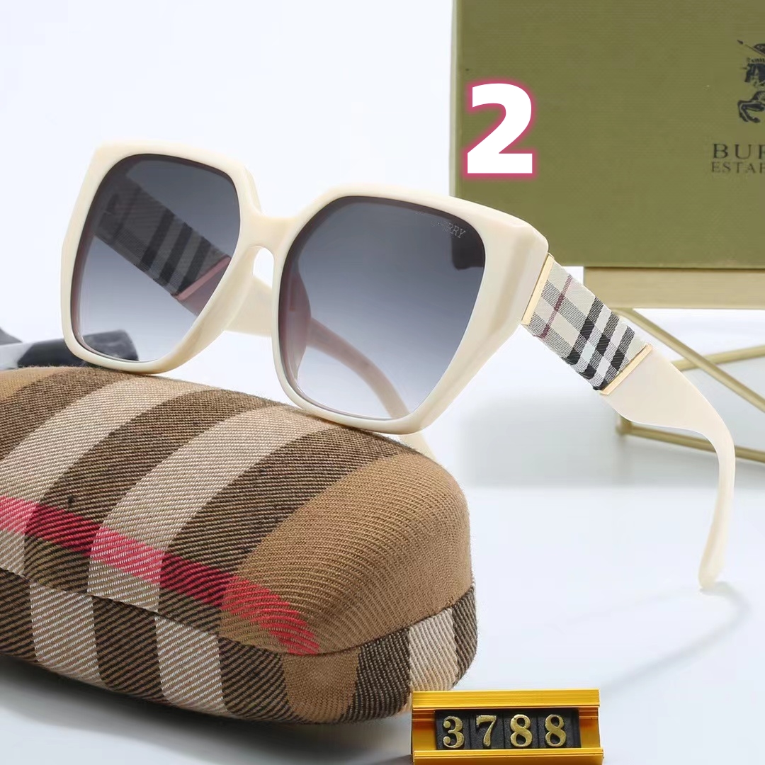 V2217-152💴23$burberry gallery