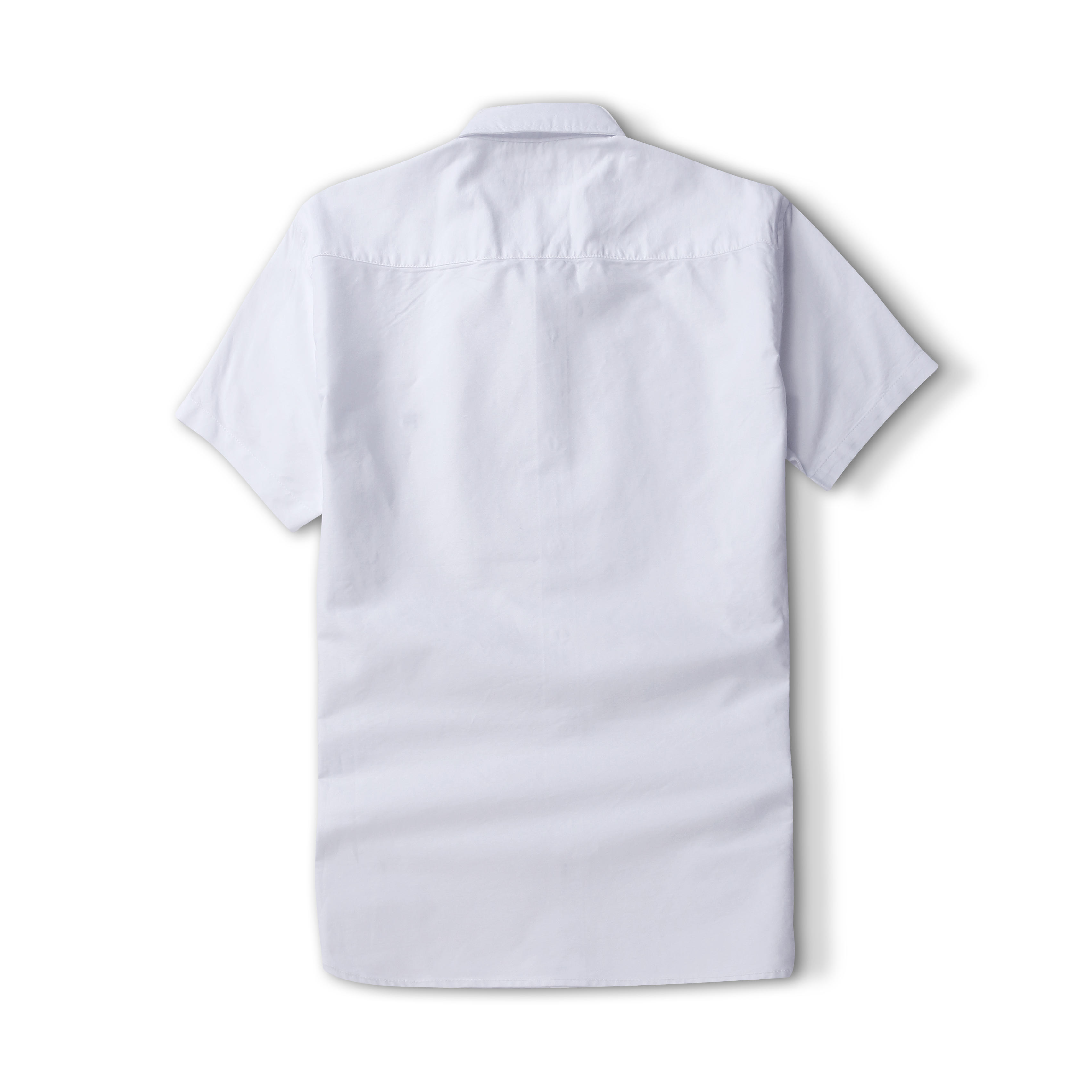 V2896-💴29.99$Tommy gallery