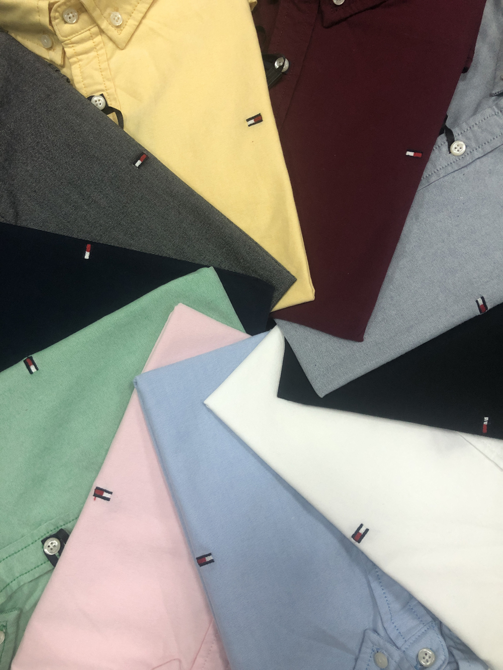 V2896-💴29.99$Tommy gallery