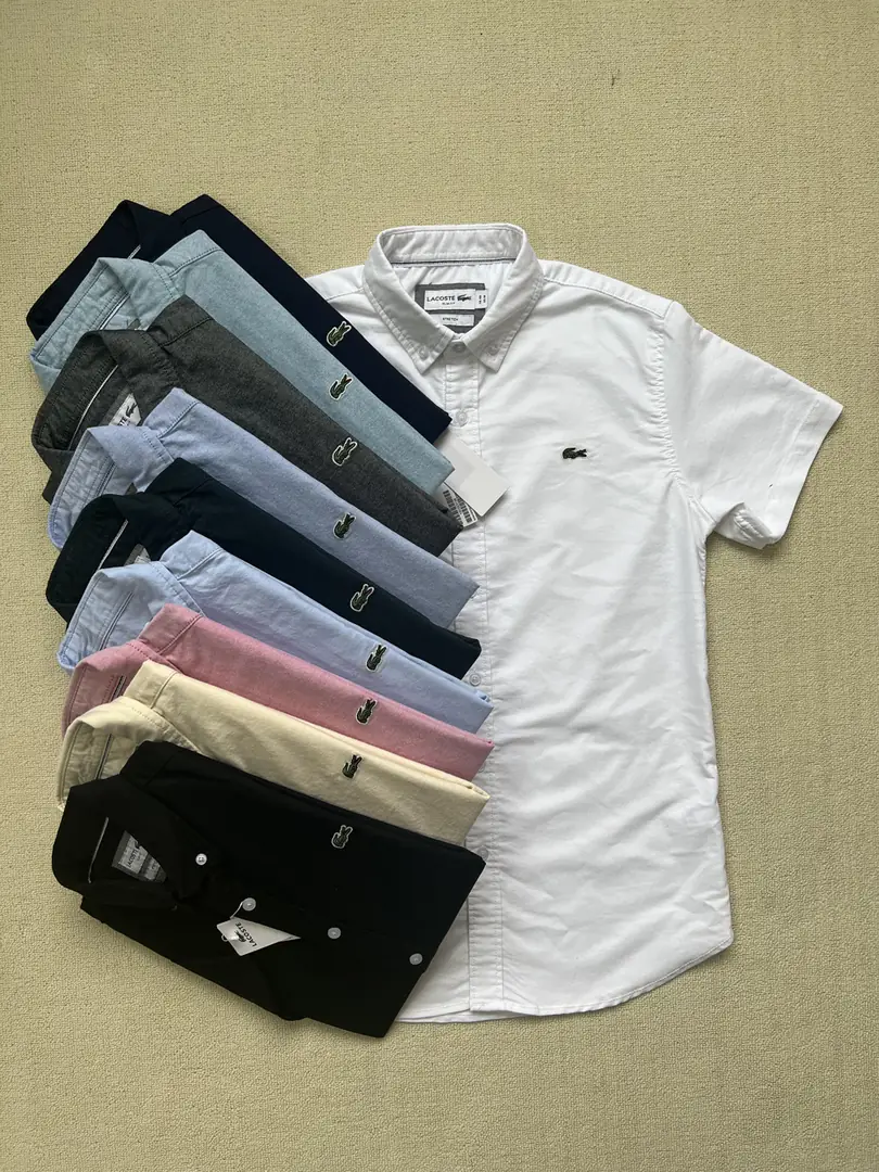 V1279-176💴29.6$Lacoste gallery