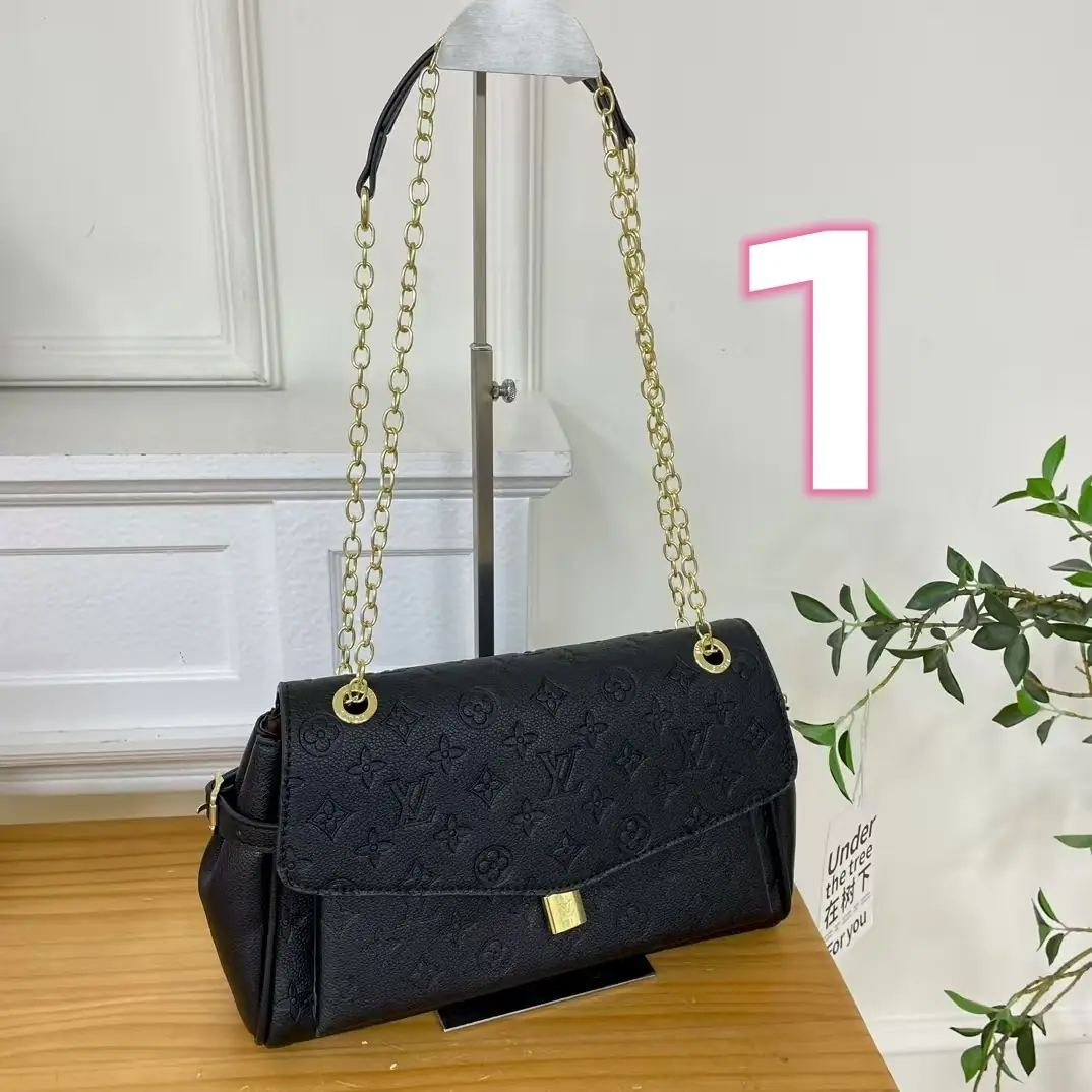 V2956-💴29.55$LV gallery