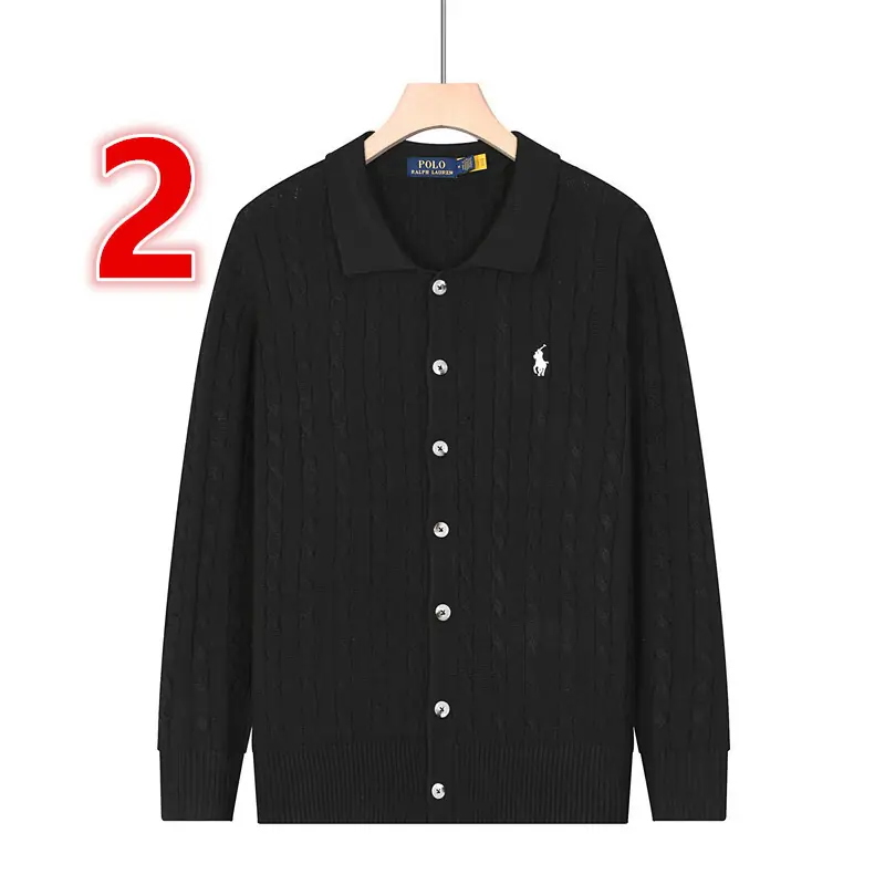 V2969-💴47.60$POLO gallery