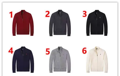 V2971-💴47.52$POLO gallery