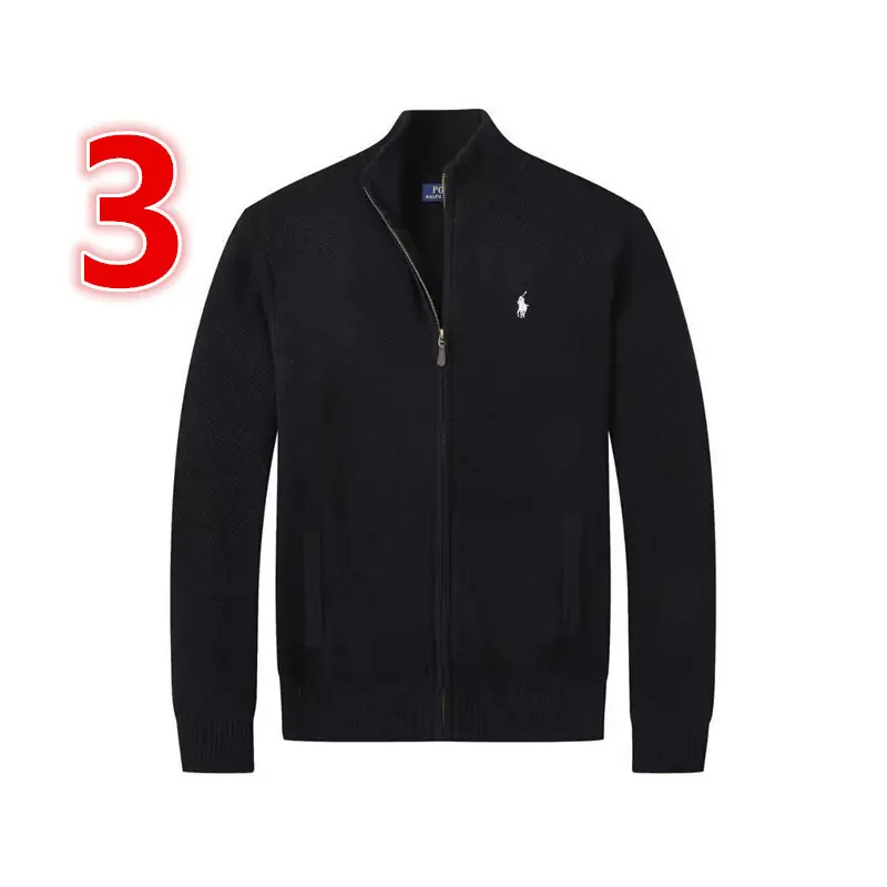 V2971-💴47.52$POLO gallery