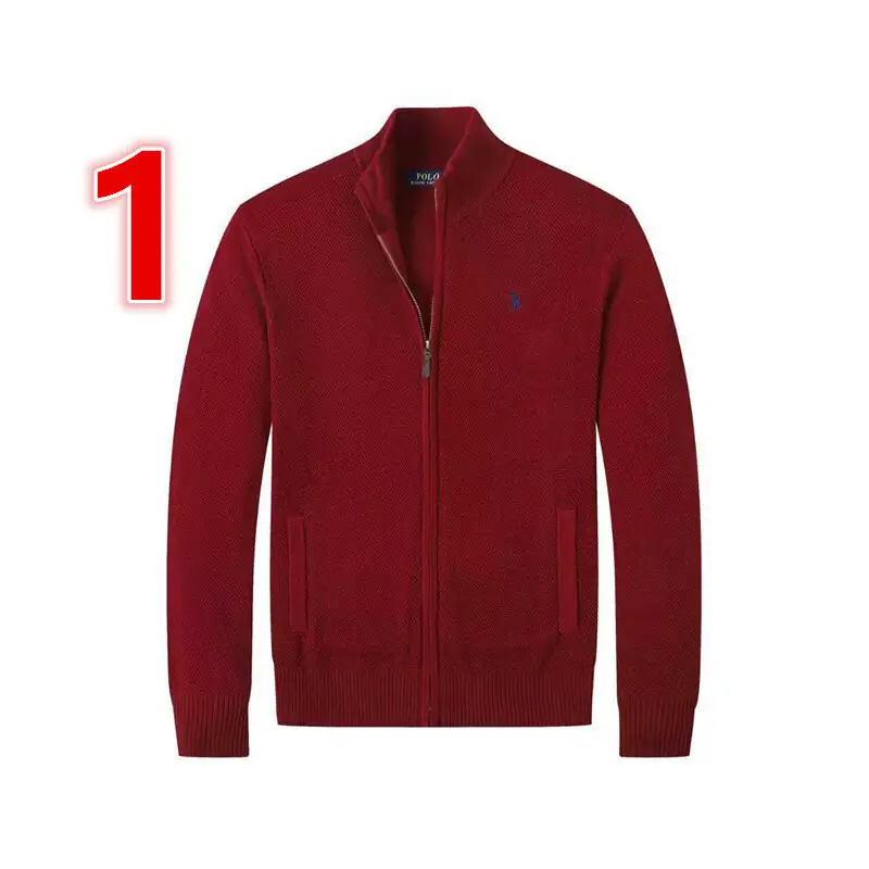 V2971-💴47.52$POLO gallery