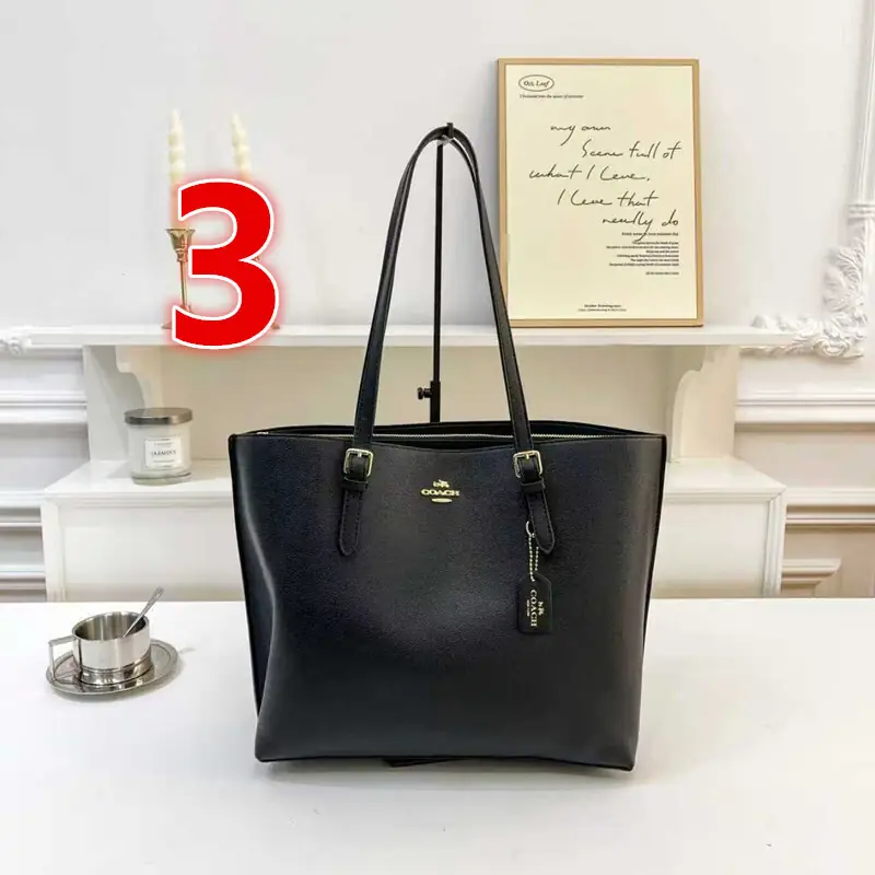 V3085-💴31.22$coach gallery