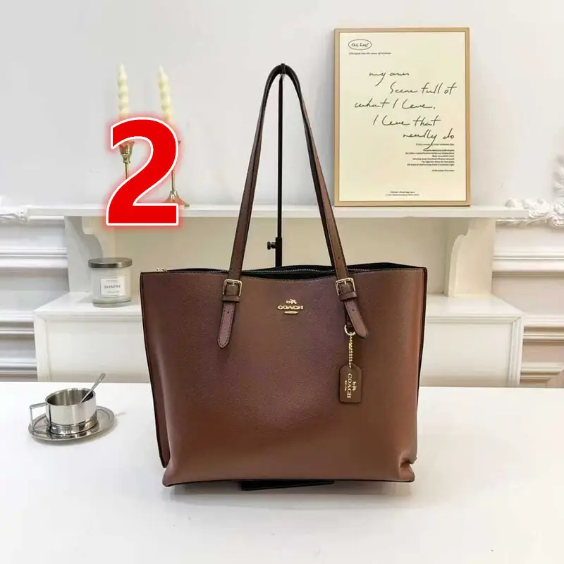 V3085-💴31.22$coach gallery