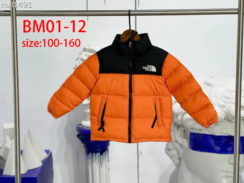 BM01 The North Face 1996 Children's Down Jacket  56$ gallery