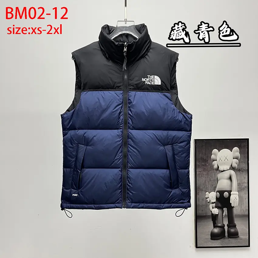 BM02 The North Face 1996 Classic Down Vest 50$ gallery